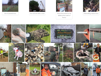 tree surgeon website